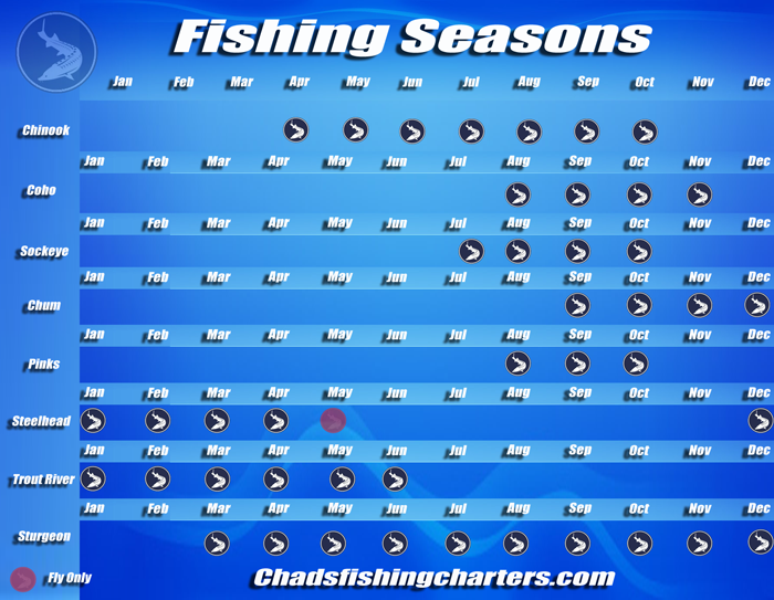 Chilliwack BC Fishing Seasons - BC Fishing for Salmon Sturgeon Trout  Stealhead